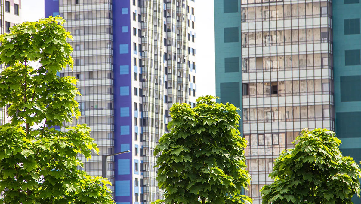 Превью видео