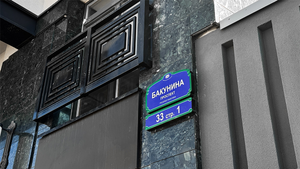 BAKUNINA 33 — готовность 95%