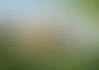 Генеральный подряд <br>монолитные работы