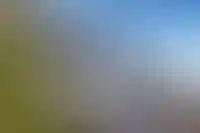 Фоновое изображение