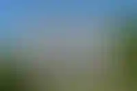 Фоновое изображение