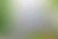 фоновое изображение