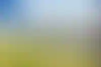 фоновое изображение