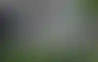 изображение преимущества