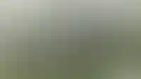 изображение преимущества