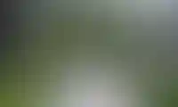 изображение преимущества