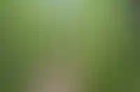 изображение преимущества