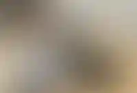 Изображение параграфа