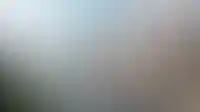 Изображение параграфа