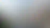 изображение галереи
