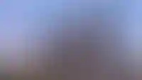 изображение галереи