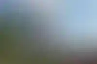 изображение галереи