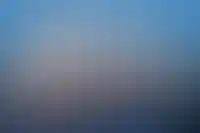 изображение галереи