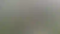 Первью панорамы