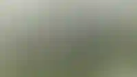Первью панорамы
