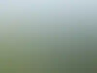 Видовой проект